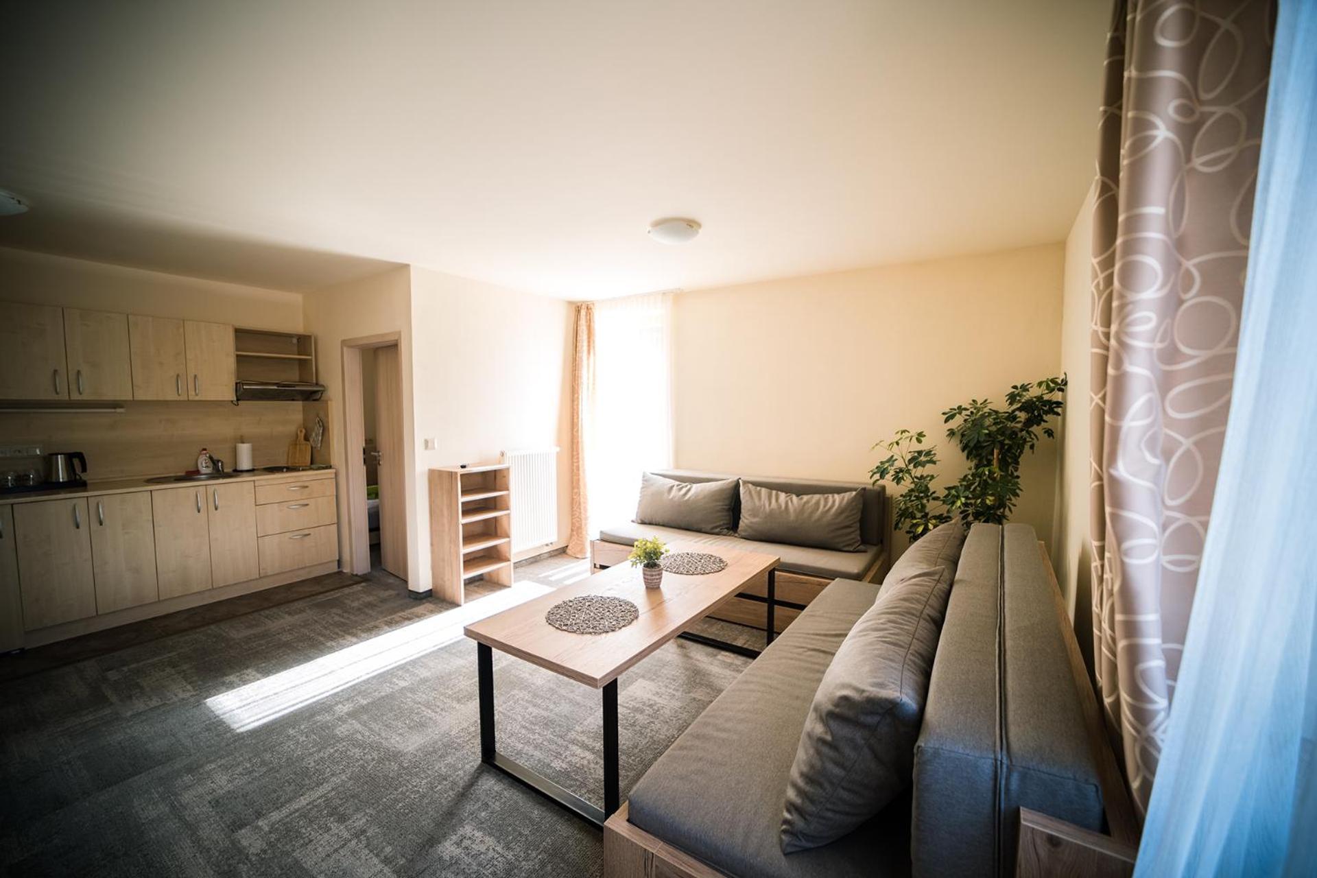 Wellness & Spa Hotel Certov Eksteriør billede